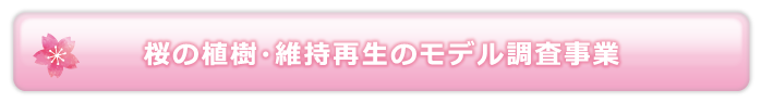 桜の植樹・維持再生のモデル調査事業