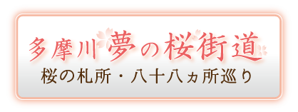 多摩川夢の桜街道